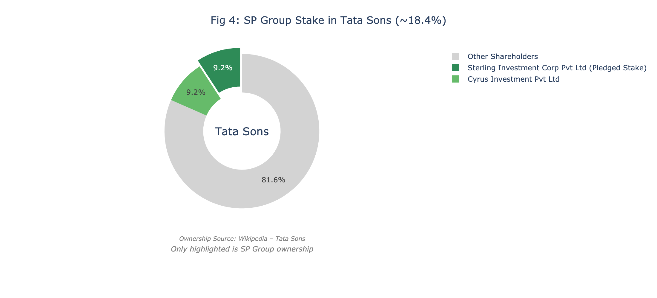 Tata Sons stake